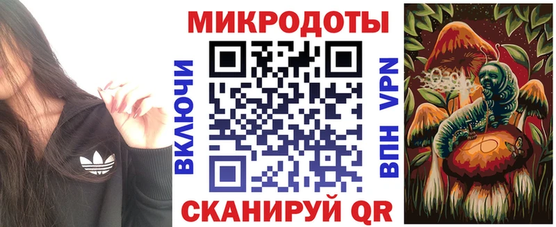 Псилоцибиновые грибы Psilocybe  Сунжа 